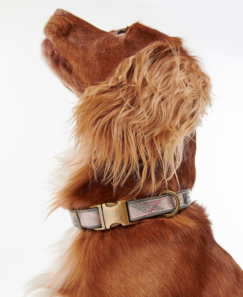 Barbour - Reflective Tartan Dog Collar