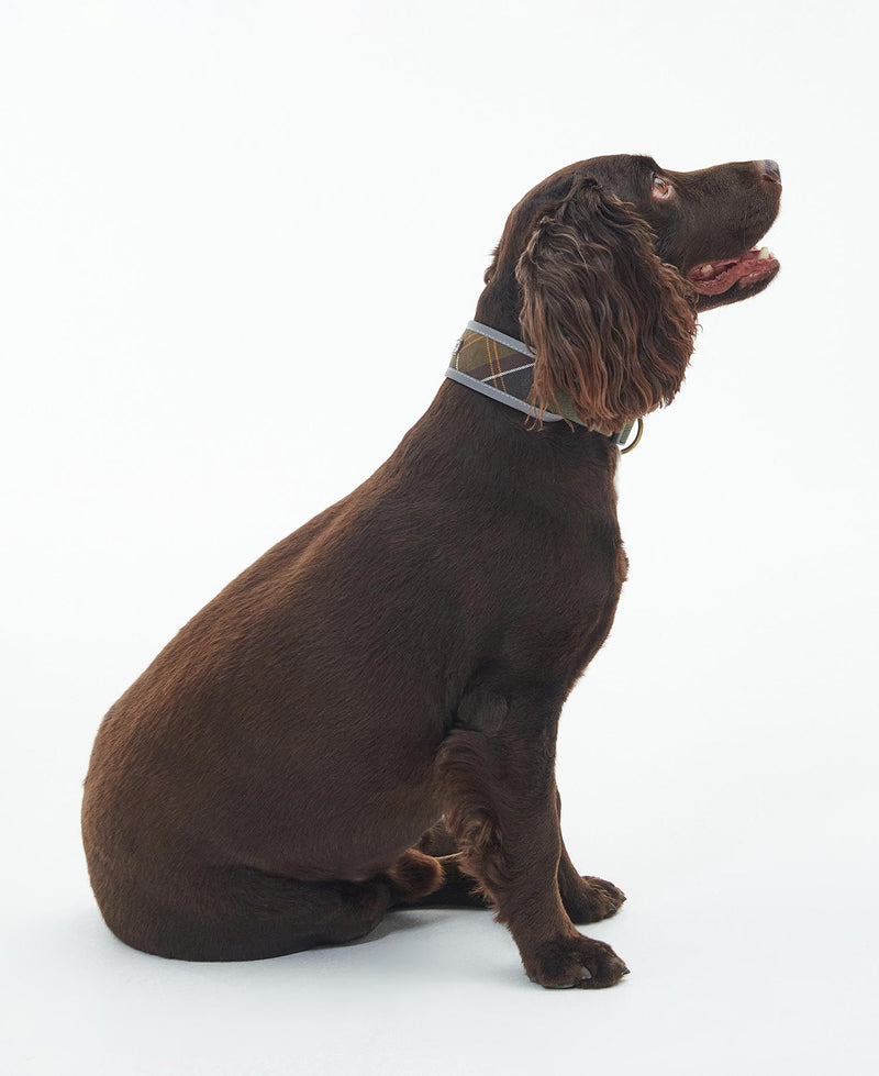 Barbour - Reflective Tartan Comfort Collar