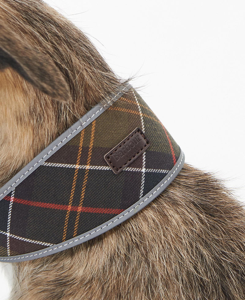 Barbour - Comfort Lurcher Collar