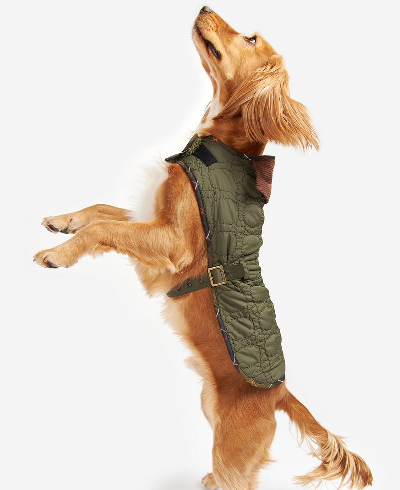 Barbour - Dog Bone Quilted Dog Coat