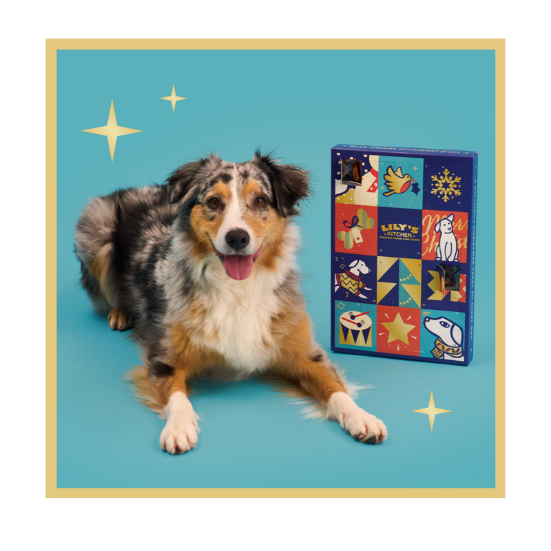 Lily's Kitchen - Advent Calendar for Dogs