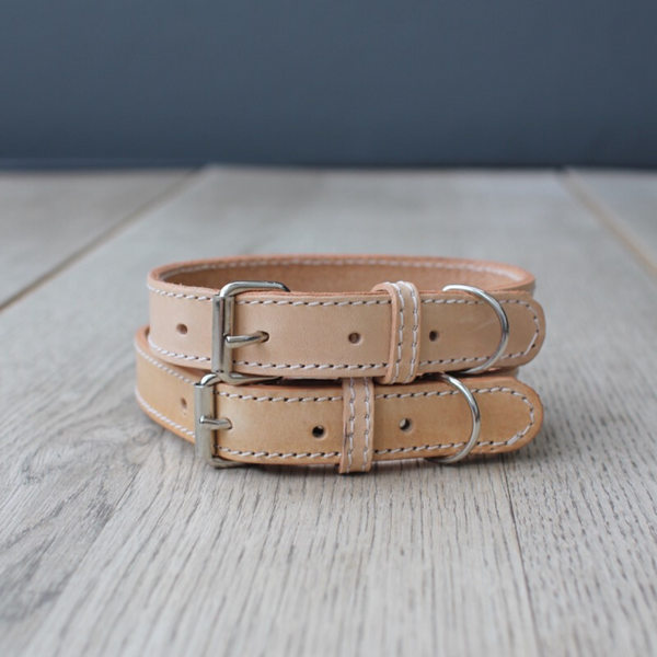 Benji and moon collars 2025