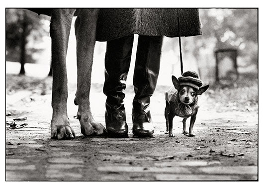 Felix, Gladys & Rover - Postcard