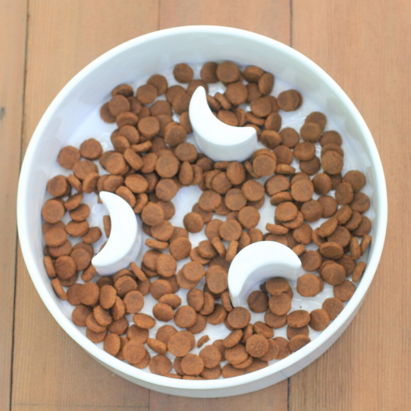 Benji + Moon - Slow Feed Ceramic Bowl
