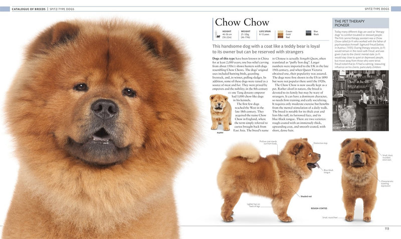 Dog Encyclopedia: The Definitive Visual Guide (DK) 