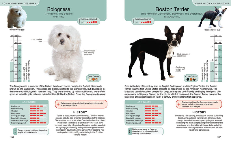 Every Dog: A Book of 500 Breeds (Nancy Hajeski)