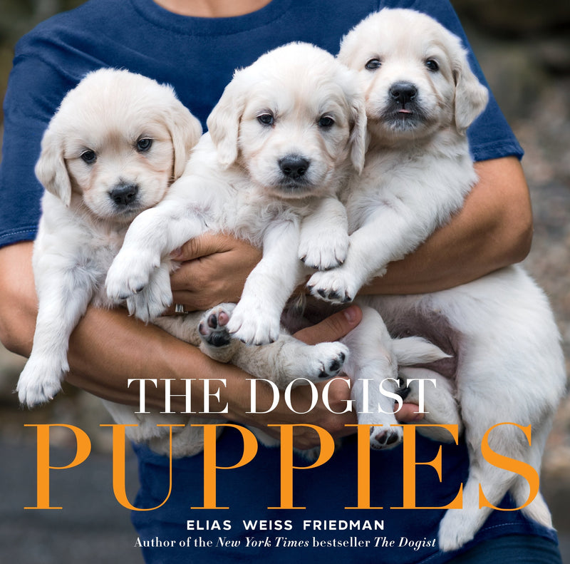 Dogist Puppies (Elias Weiss Friedman) 