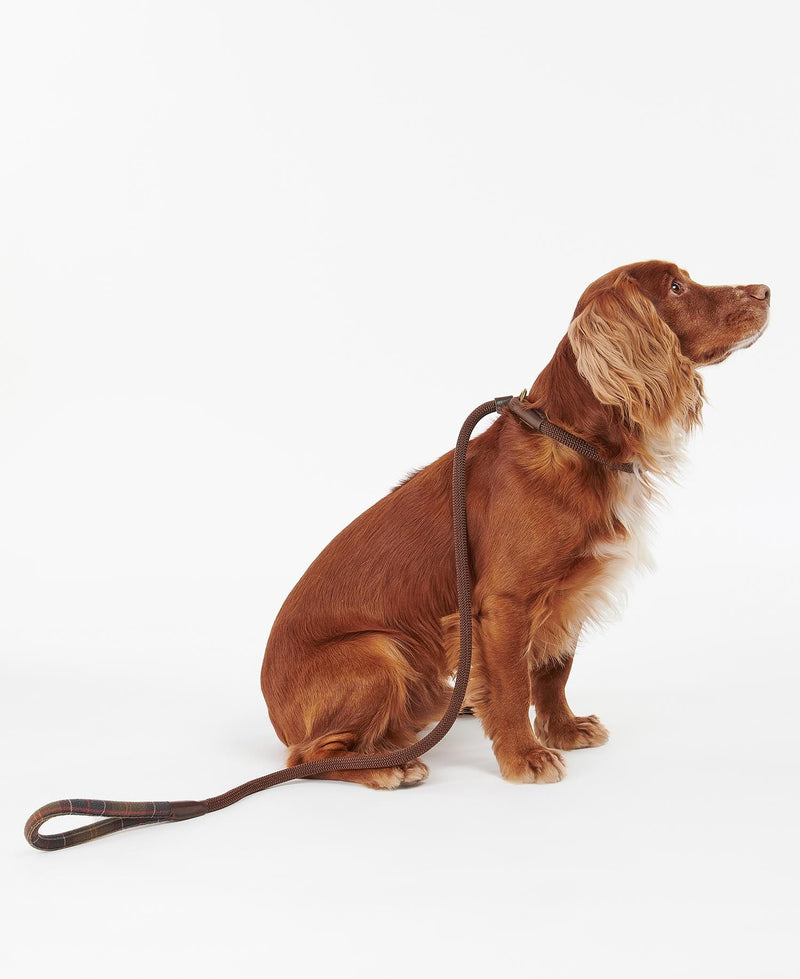 Barbour - Tartan Trimmed Slip Dog Lead