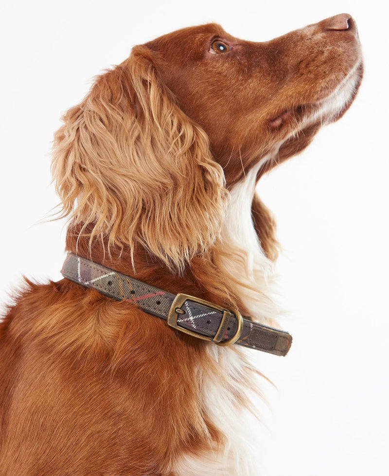 Barbour - Tartan Dog Collar