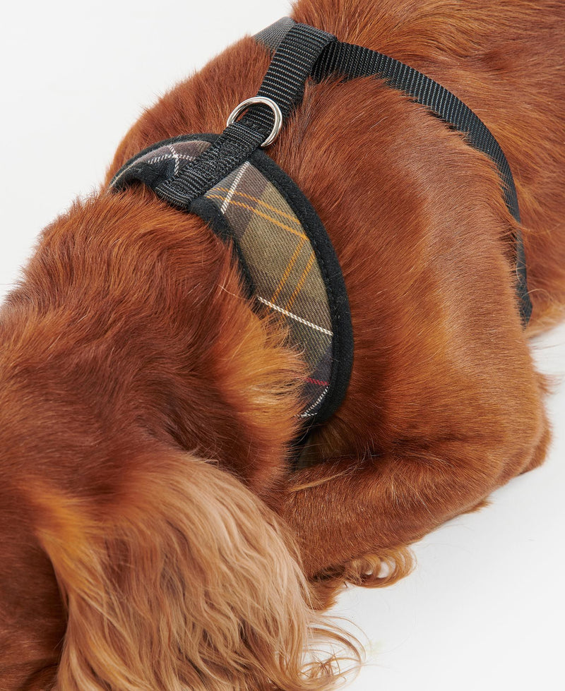 Barbour - Tartan Dog Harness