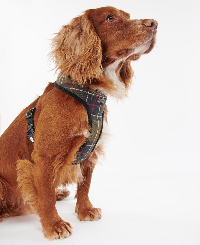 Barbour - Tartan Dog Harness