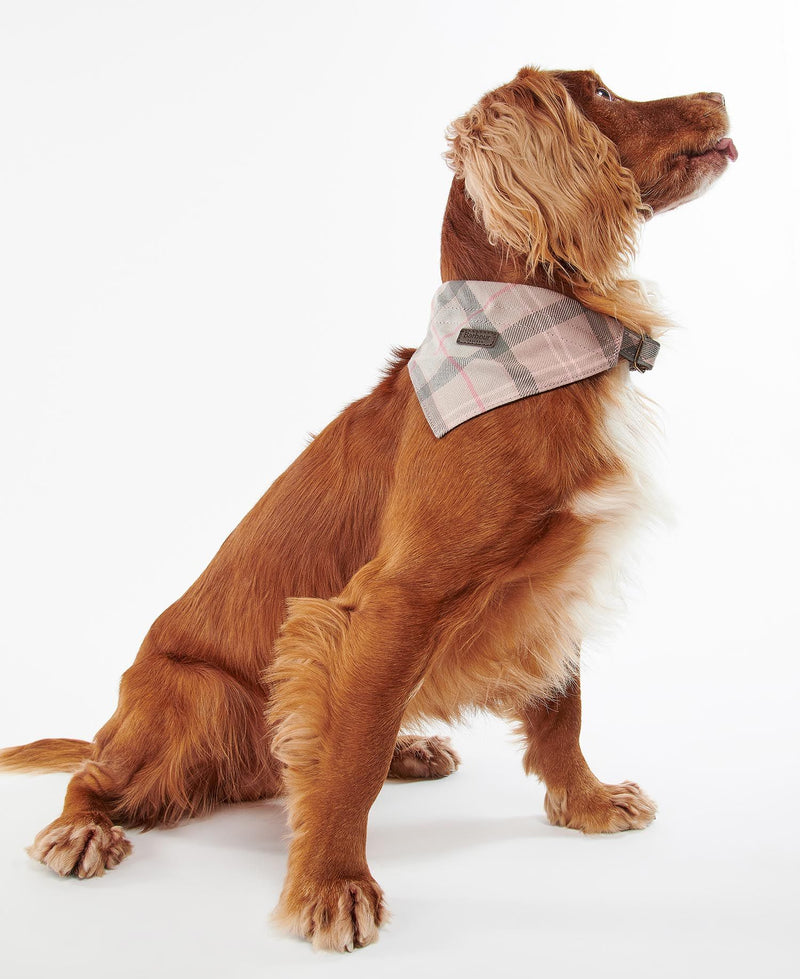 Barbour - Tartan Dog Bandana