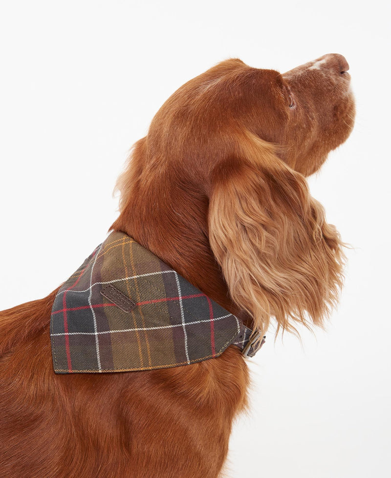 Barbour - Tartan Dog Bandana