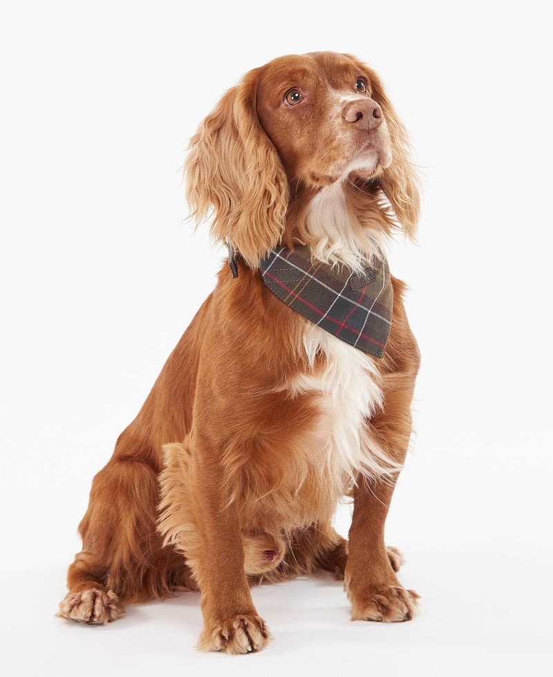 Barbour - Tartan Dog Bandana