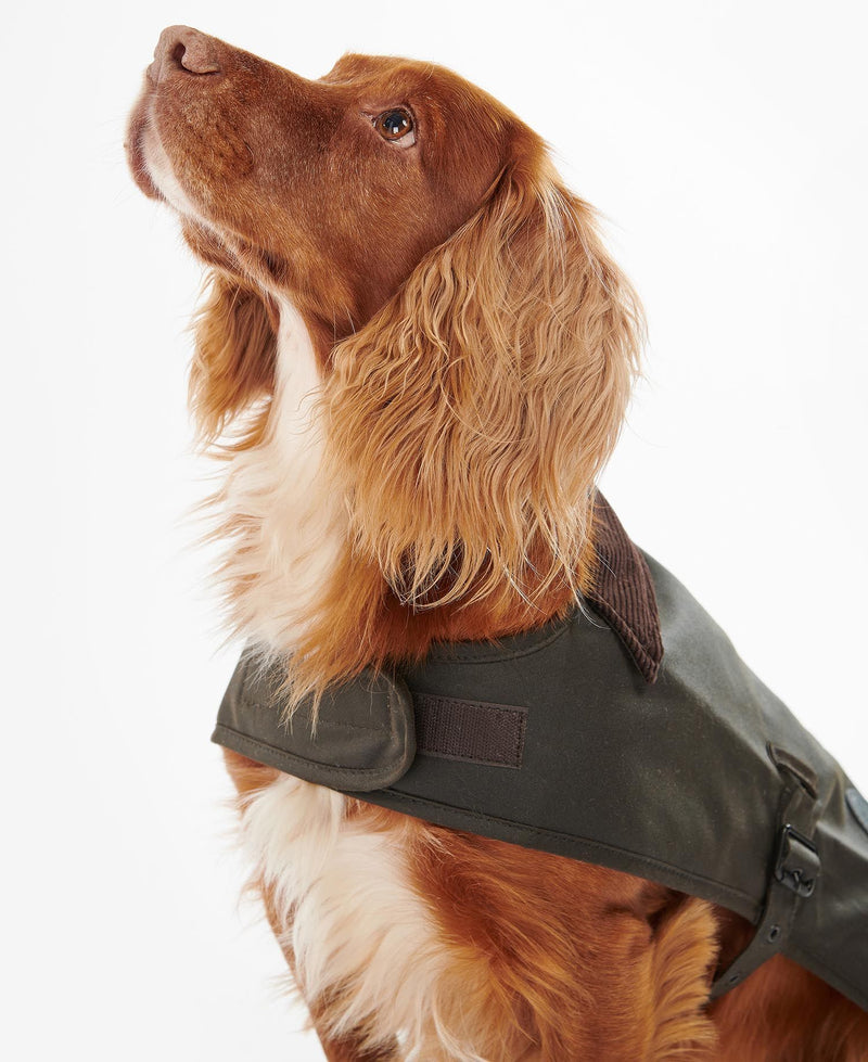 Barbour - Wax Dog Coat