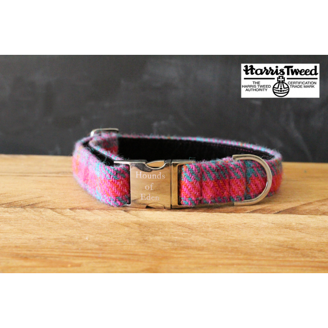 Hounds of Eden - Dara Harris Tweed Collar