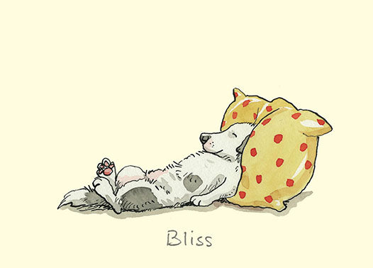 Bliss - Card