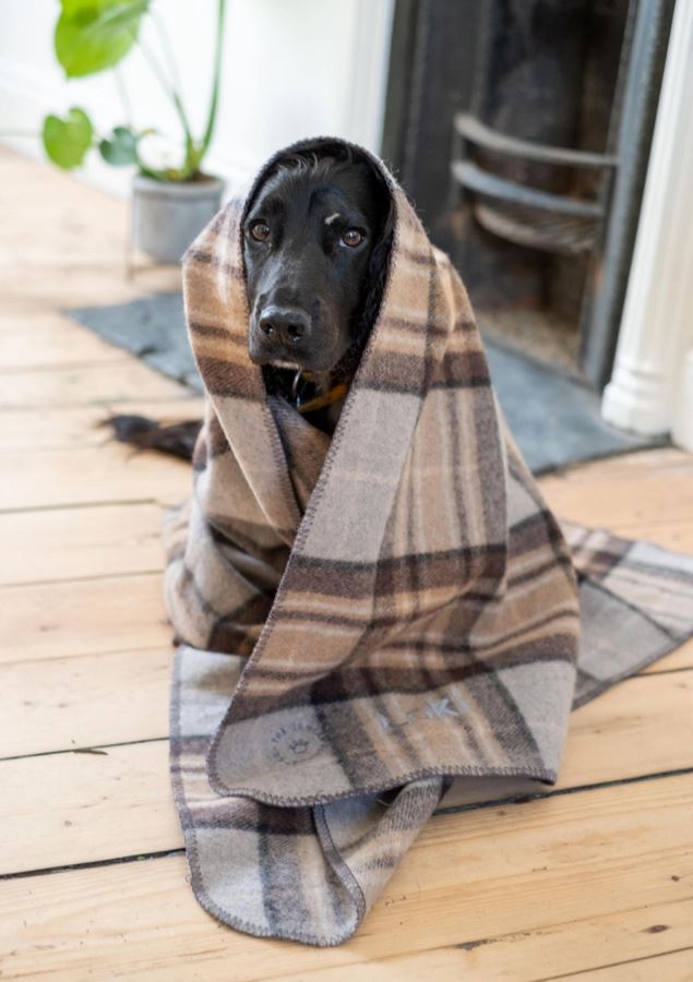 The Tartan Blanket Co - Wool Blanket - Mackellar Tartan