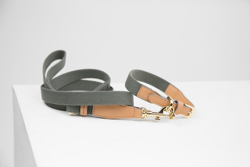 Max Bone - Niko Honey Collar and Leash set