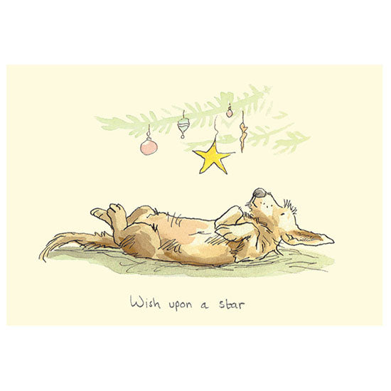 Wish upon a star - Card