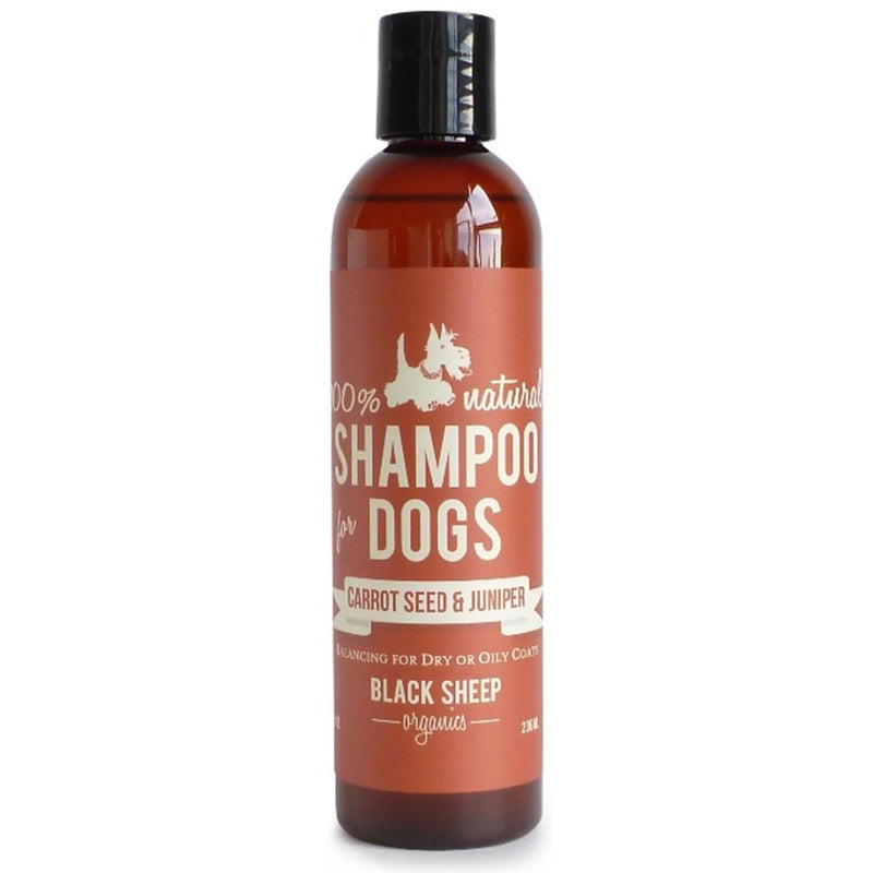Black Sheep Organics - Carrot Seed & Juniper Organic Shampoo