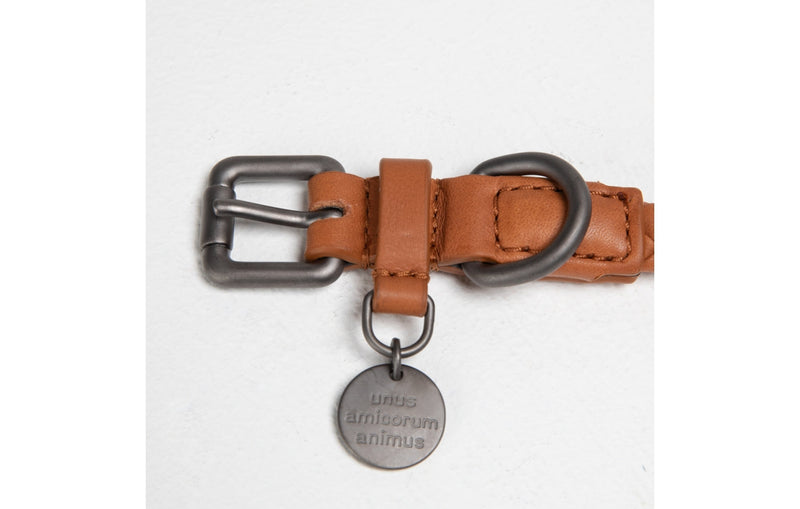 2.8 Duepuntootto - Ferdinando - Leather Collar