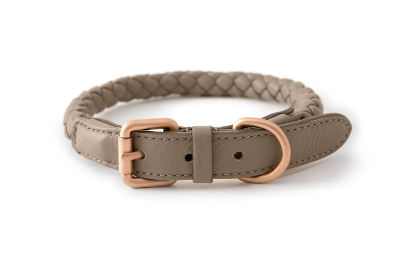 2.8 - Ferdinando - Leather Collar