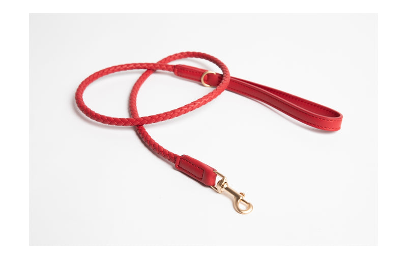 2.8 - Ferdinando - Leather Leash