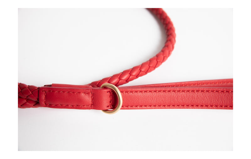 2.8 - Ferdinando - Leather Leash