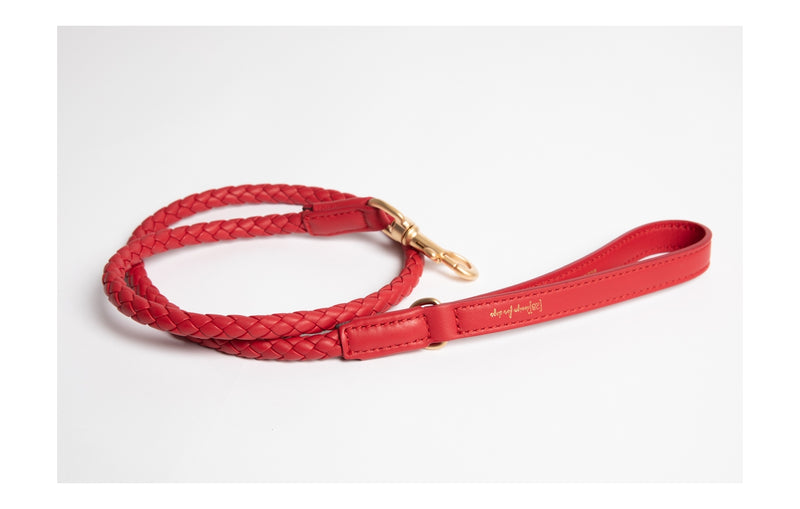 2.8 - Ferdinando - Leather Leash