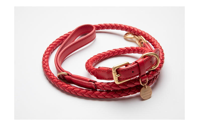 2.8 - Ferdinando - Leather Leash