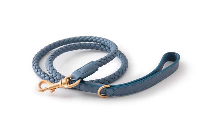 2.8 - Fernandino - Leather Leash