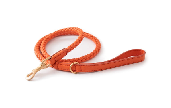 2.8 - Fernandino - Leather Leash