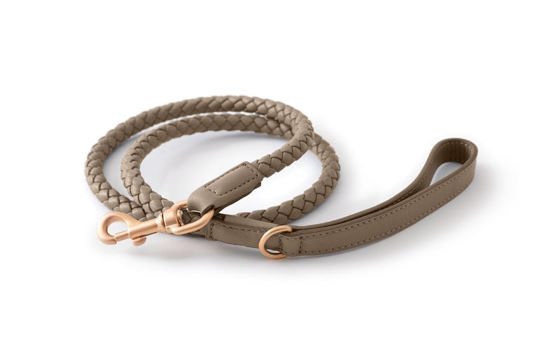 2.8 - Fernandino - Leather Leash