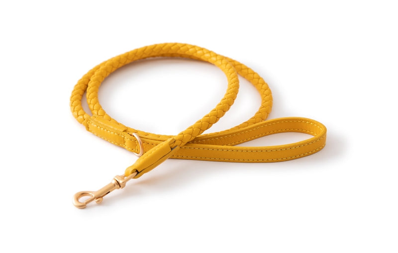 2.8 - Fernandino - Leather Leash