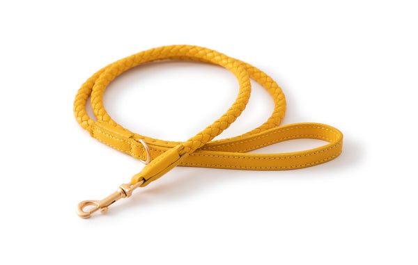 2.8 - Fernandino - Leather Leash