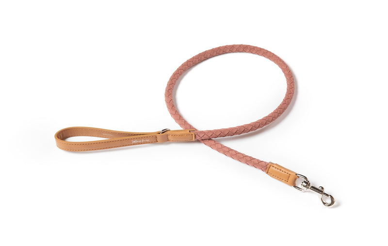 2.8 - Ferdinando - Microfiber Leash