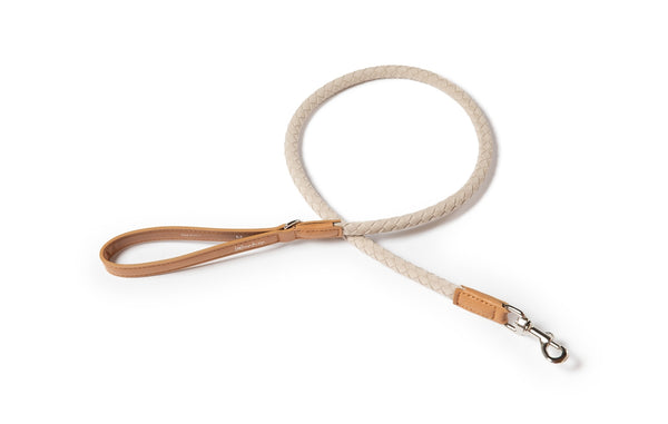 2.8 - Ferdinando - Microfiber Leash