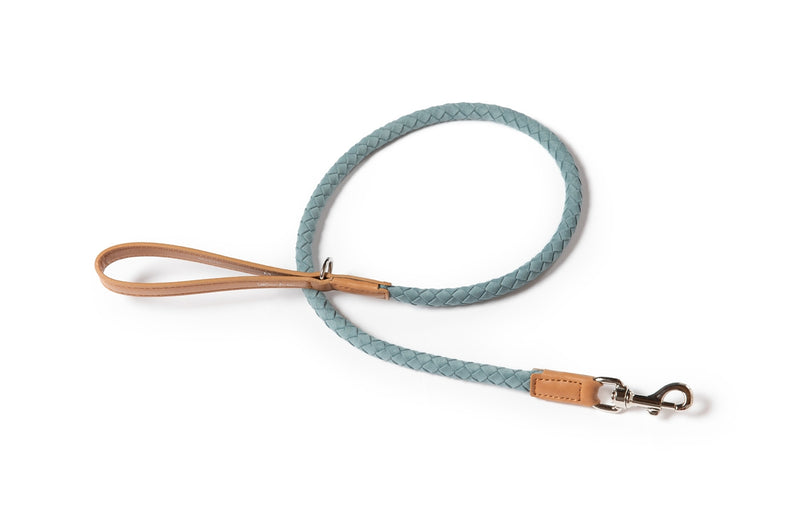 2.8 - Ferdinando - Microfiber Leash