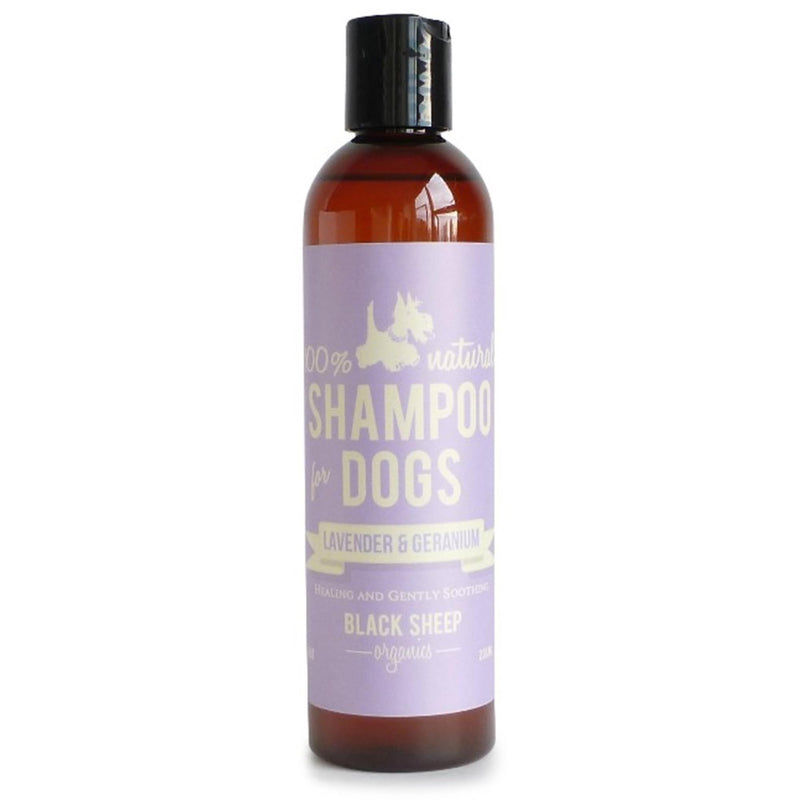Black Sheep Organics - Lavender & Geranium Organic Shampoo