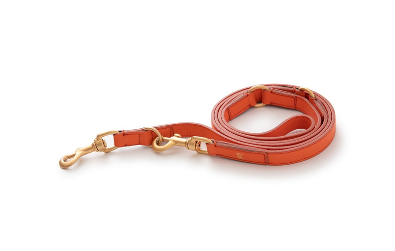 2.8 - Mario - Leather Training Leash