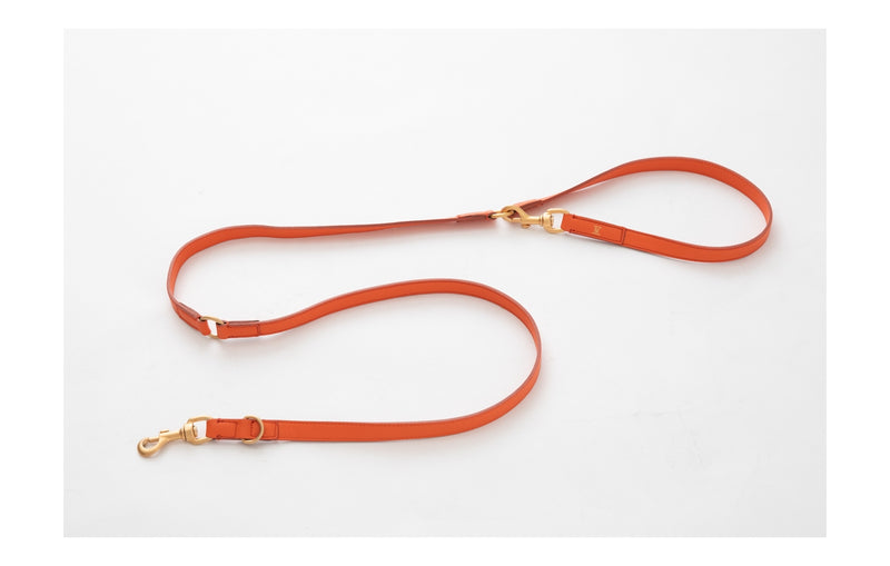 2.8 - Mario - Leather Training Leash