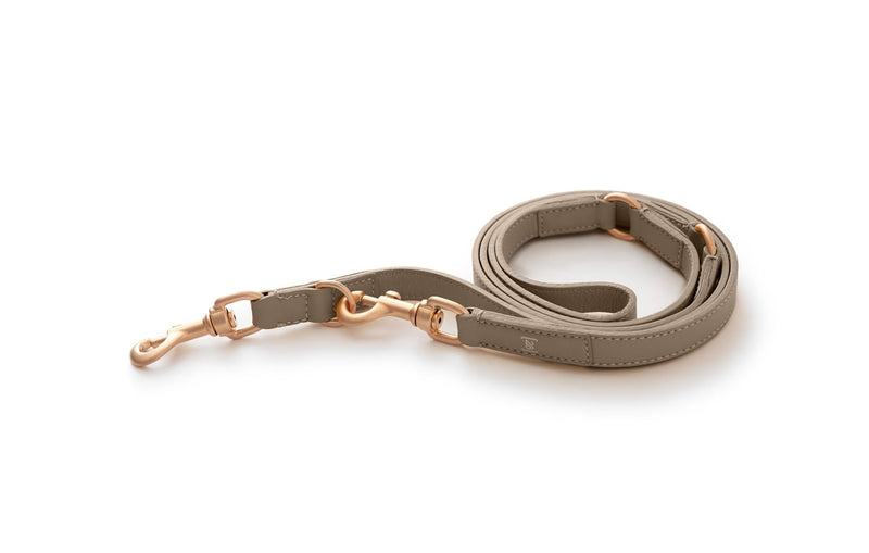 2.8 - Mario - Leather Training Leash