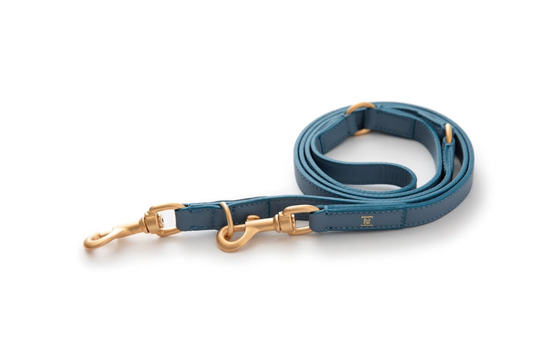 2.8 Duepuntootto - Mario - Leather Training Leash