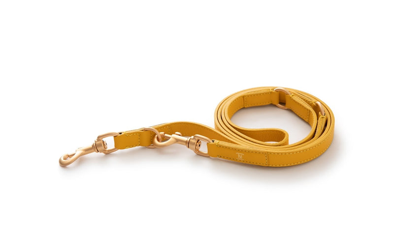 2.8 - Mario - Leather Training Leash