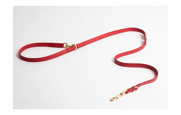 2.8 Duepuntootto - Mario - Leather Training Leash