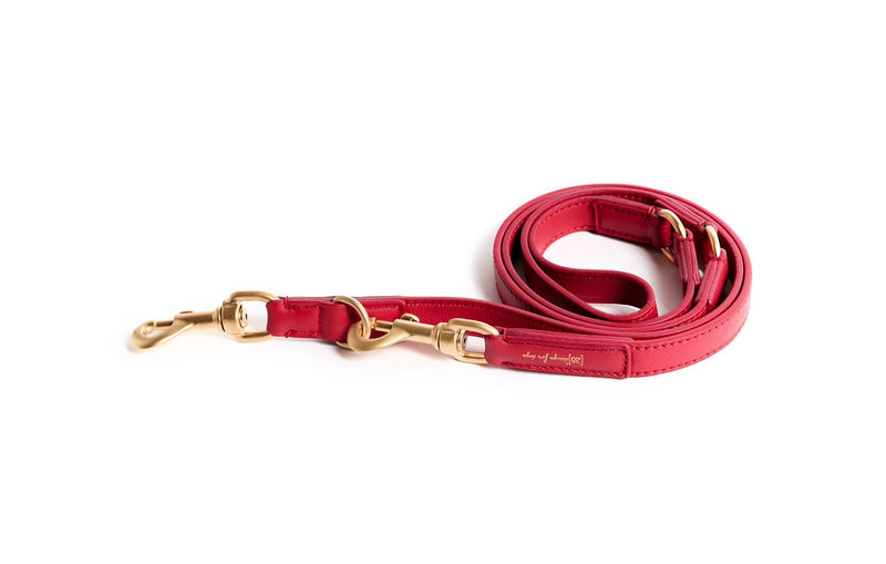 2.8 Duepuntootto - Mario - Leather Training Leash